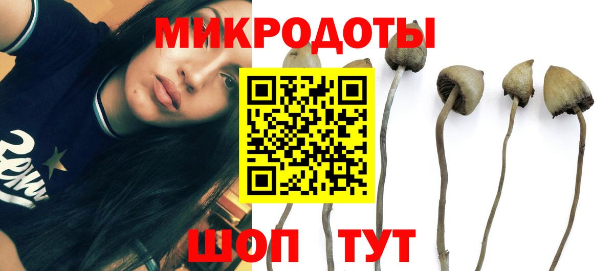 Псилоцибиновые грибы Psilocybe  Вход с VPN  Можайск 